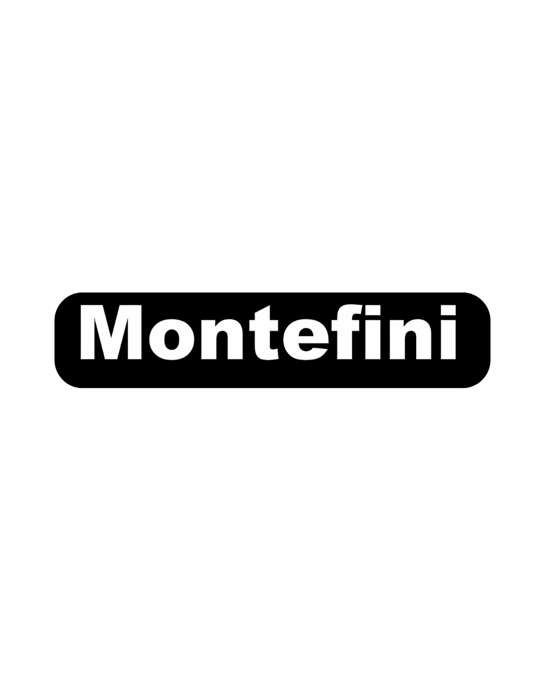 Logo Montefini