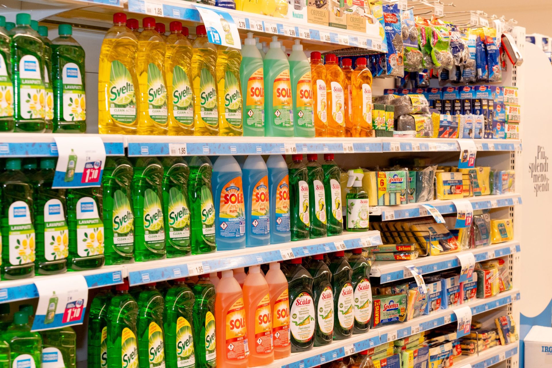 Recensioni Splendidi e Splendenti